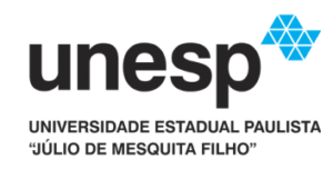 Logotipo de la UNESP con el texto "Universidade Estadual Paulista 'Júlio de Mesquita Filho'" debajo, en negro. A la derecha de "unesp" hay un diseño geométrico azul formado por varios triángulos.