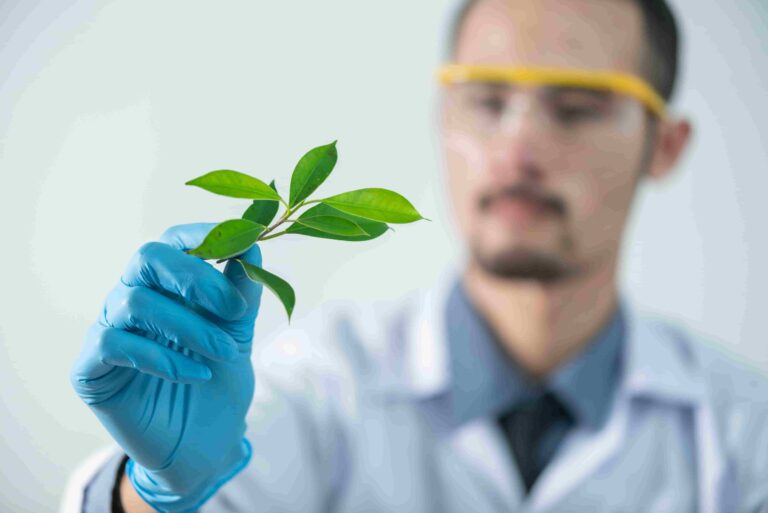 Why Research Needs to Solve Real Problems, Not Just Publish Papers
